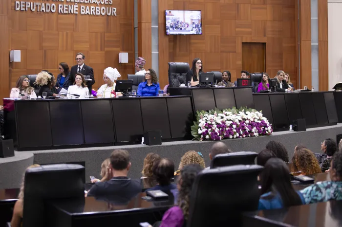 Orçamento e políticas públicas para mulheres são debatidos em audiência na ALMT