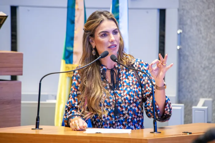 Dia do escoteiro será celebrado na CLDF nesta terça (30)