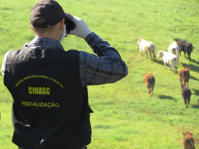 Cidasc tem programação especial no mês de maio voltada à saúde dos animais de produção e saúde vegetal
