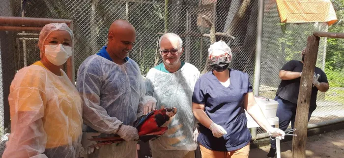 Veterinários da Secretaria de Meio Ambiente participam de capacitação para manejo de aves