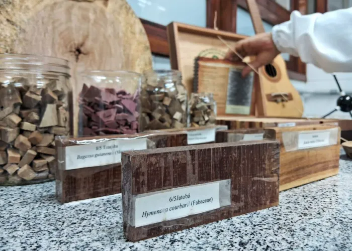 Pesquisa apoiada pelo Governo do Amazonas aponta potencial econômico de resíduos sólidos do setor madeireiro