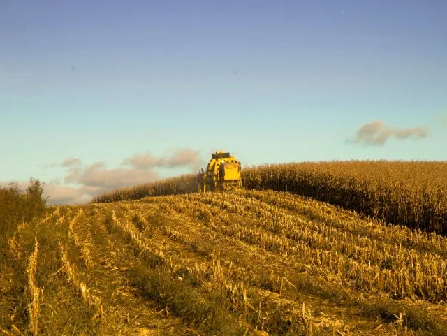 AVISO DE PAUTA: Epagri lança publicação com dados do desempenho da agropecuária de SC em 2023
