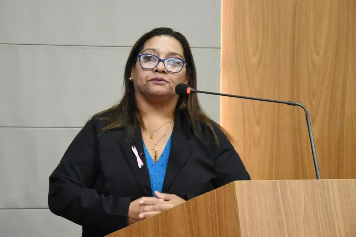 Projeto de Eva Barros institui o Agosto Lilás para conscientizar sobre violência doméstica