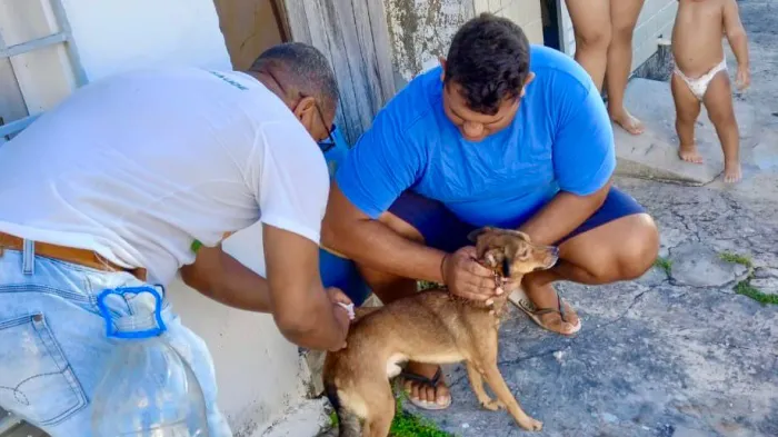 Foto: Reprodução/Prefeitura de Piaçabuçu - AL