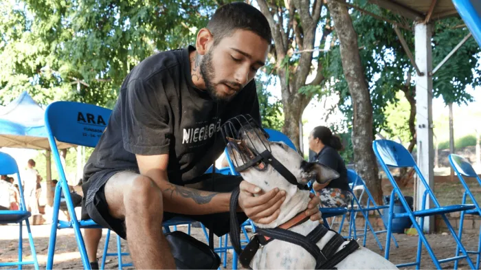 3º Mutirão de Castração atende 200 cães nos dois primeiros dias