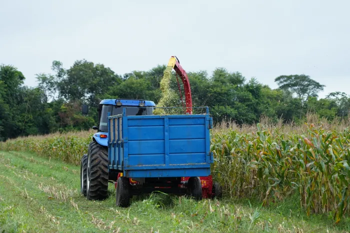 Curso superior de Tecnologia em Agrocomputação tem vagas remanescentes disponíveis