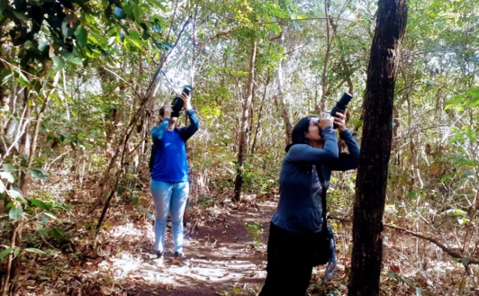 Gerido pelo Naturatins, Parque Estadual do Lajeado celebra 23 anos com programação destinada à observação de aves 