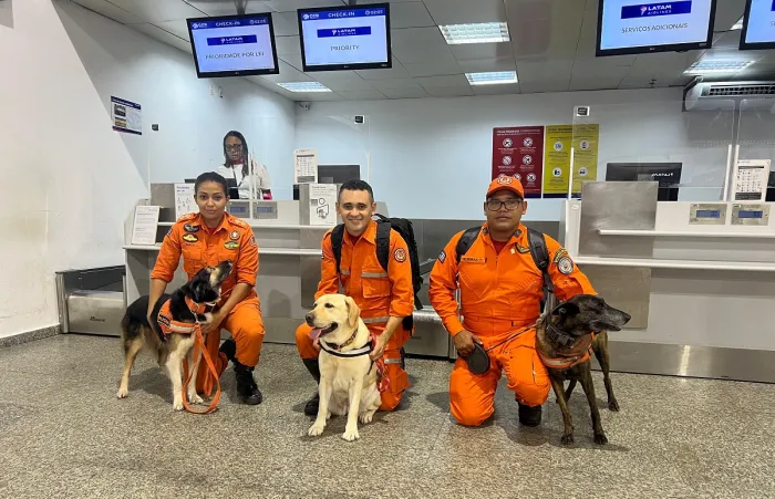 Maranhão envia cães de resgate para missão no Rio Grande do Sul
