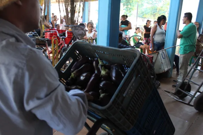 Prefeitura de Araçatuba distribui alimentos saudáveis para mais de 10 mil pessoas