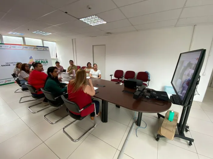 Gestores municipais participam de reunião sobre financiamento da Atenção Primária à Saúde 