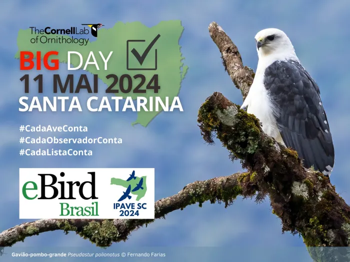 Unidades de Conservação administradas pelo IMA receberão evento mundial de observação de aves