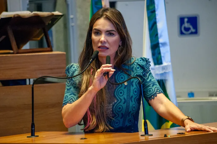 Foto: Reprodução/Agência CLDF