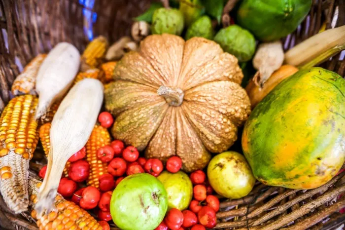 Programa de Aquisição de Alimentos beneficia mais de 32 mil famílias do Piauí no primeiro quadrimestre