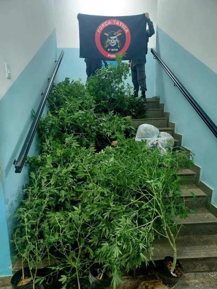 Foto: Reprodução/Polícia Militar - ES