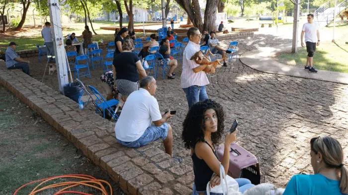 3º Mutirão de Castração de 2024 esterilizou 485 cães