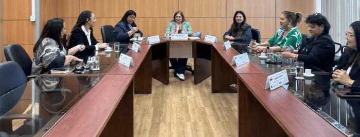 Foto: Reprodução/Secom Piauí