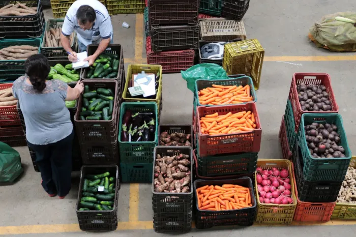 Ceasa de SC presta apoio para manter abastecimento de alimentos do Rio Grande do Sul