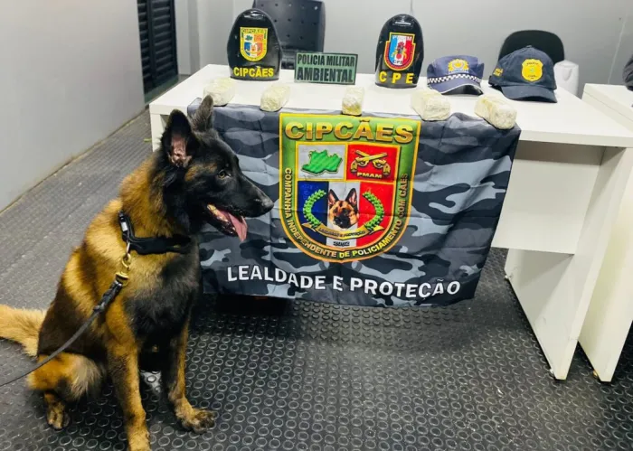 Base Arpão 2: PMAM apreende maconha camuflada em meio à goma e farinha de mandioca