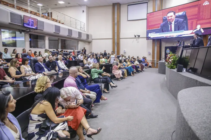 ALMT realizou sessão especial para entrega de Medalha Lucíola Zanirato e outras homenagens