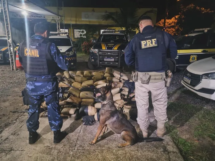 Segurança: GMM apoia Polícia Rodoviária Federal na apreensão de 325 kg de drogas em Marabá