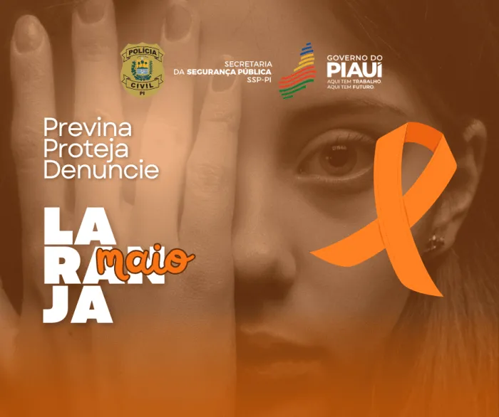 Foto: Reprodução/Secom Piauí