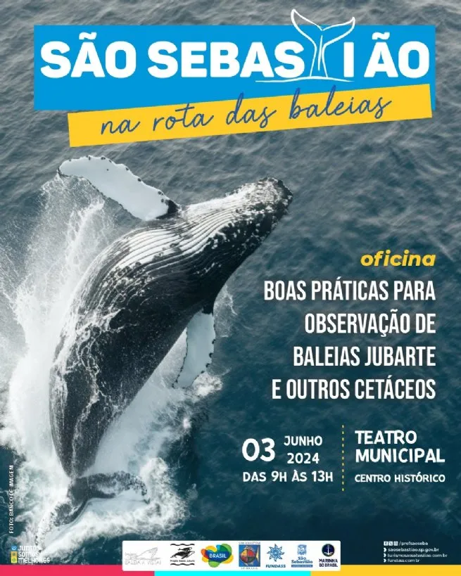 Prefeitura de São Sebastião oferece Oficina de Boas Práticas para Observação de Baleias Jubarte e Outros Cetáceos