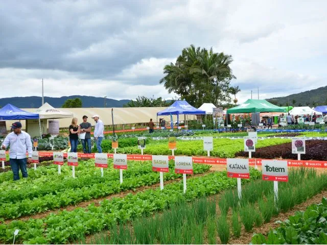 Dia de Campo em Antônio Carlos apresenta tecnologias sustentáveis para cultivo de hortaliças