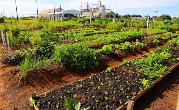 Parlamentar pede implantação de “Horta Comunitária” no Rota do Sol