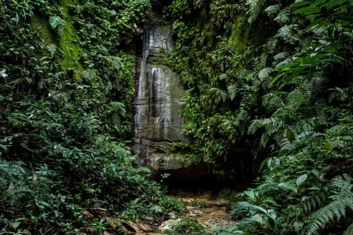 Secretaria de Meio Ambiente apoia OAB na realização do 1º Circuito Interseccional da Amazônia