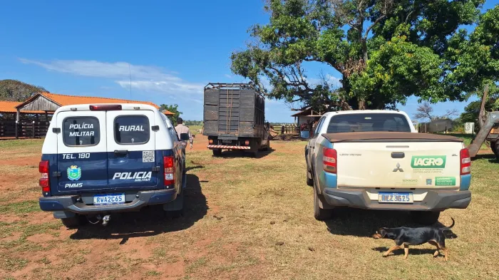 BPMRu intercepta gado sendo transportado sem documentação