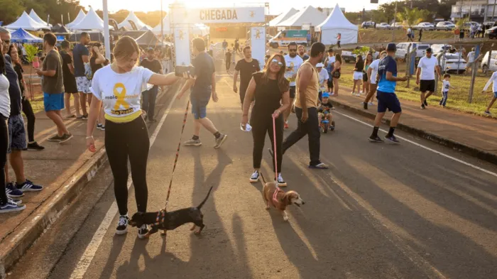 Evento do Maio Amarelo terá brinde para participantes da ‘Cãominhada’