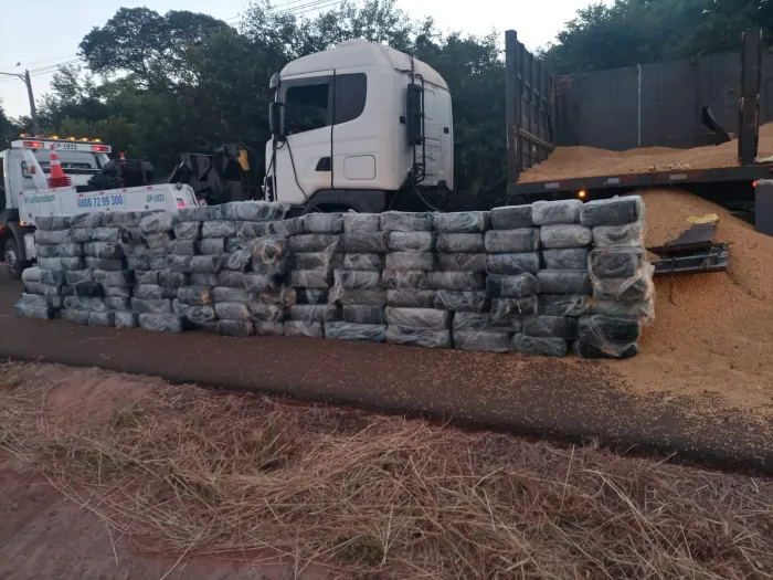 Maconha estava escondida em carregamento de soja
