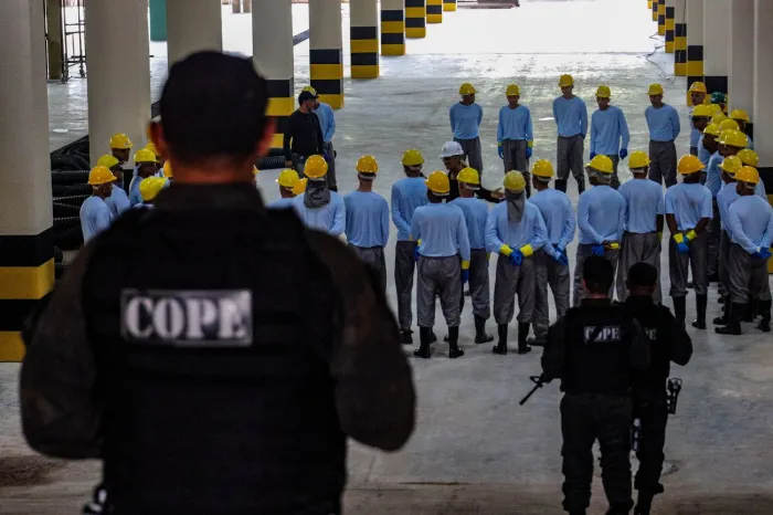 Crédito: Pedro Guerreiro / Ag. Pará