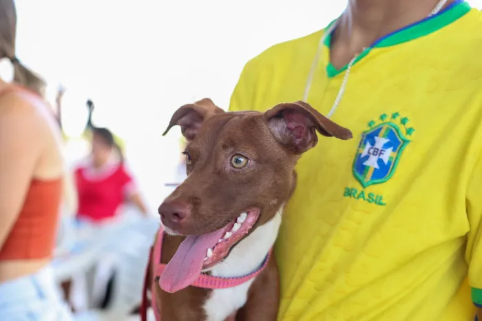 Foto: Reprodução/Secom Paraíba