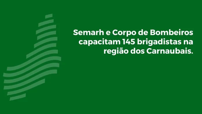 Secretaria do Meio Ambiente e Bombeiros capacitam 145 brigadistas na região dos Carnaubais