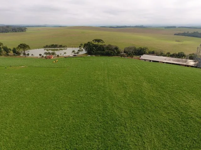 Programas emergenciais atendem propriedades rurais afetadas por fortes chuvas