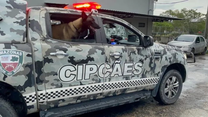 Cães de faro para narcóticos auxiliam na apreensão de mais de meia tonelada de drogas em quatro meses