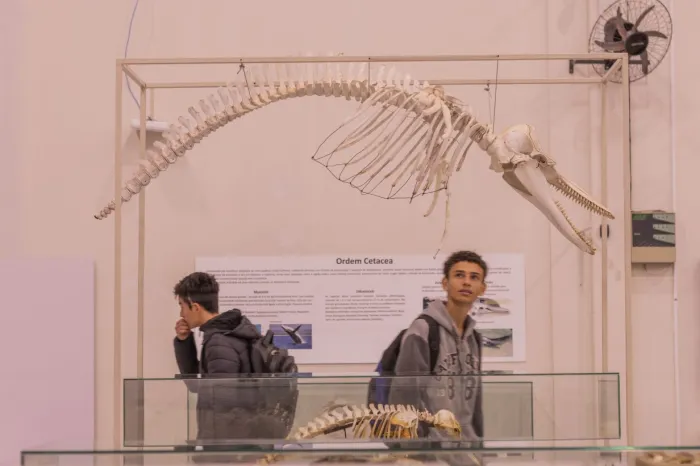 Museus da UEPG participam da Semana Nacional com diversas atividades e oficinas
