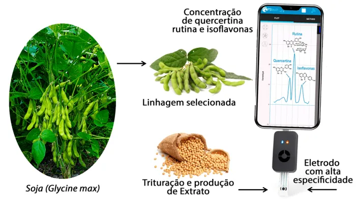 Foto: Reprodução/Secom Piauí