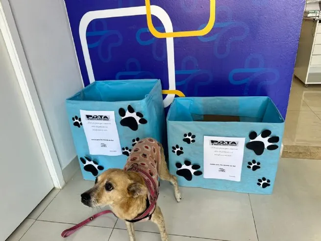 PATA de São Sebastião inicia campanha de doações para animais do Rio Grande do Sul