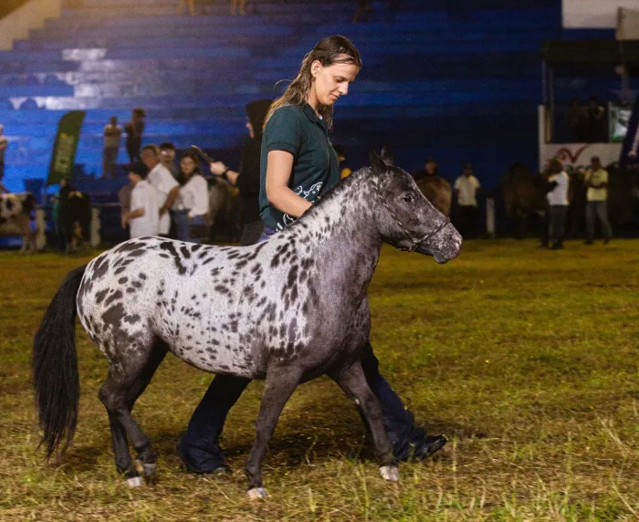 Foto: Reprodução/Secom Paraíba