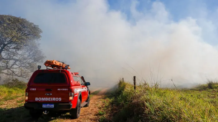 Entorno da floresta vai ter queima controlada para evitar incêndios