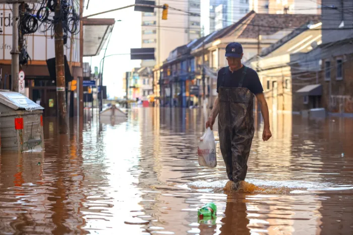 A transmissão pode ocorrer no contato com fezes contaminadas de felinos, no consumo de água contaminada ou alimentos mal lavados- Foto: Governo do Estado do Rio Grande do Sul