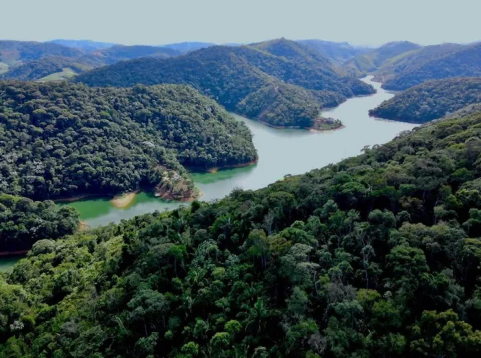 Dia Nacional da Mata Atlântica: Espírito Santo registra diminuição de quase 33% no número de desmatamento ilegal
