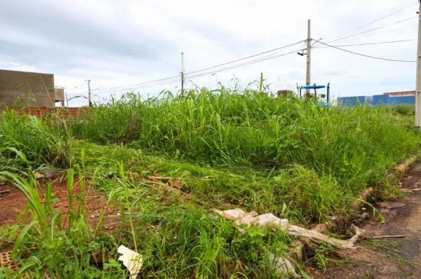 Foto: Reprodução/Prefeitura de Sorriso - MT