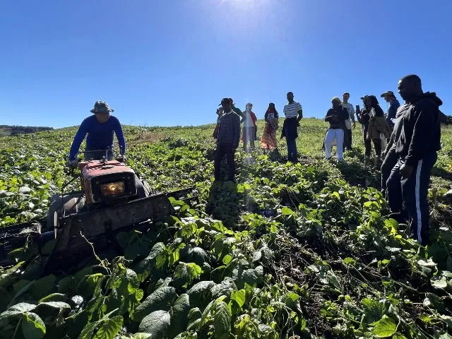 Epagri apresenta sistema sustentável de produção de hortaliças a comitiva de São Tomé e Príncipe