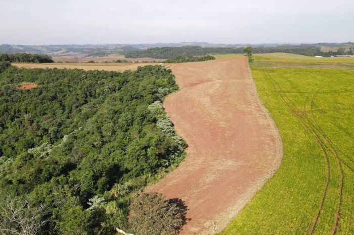 Ação contra desmatamento ilegal no Sudoeste resulta em R$ 2,8 milhões em multas