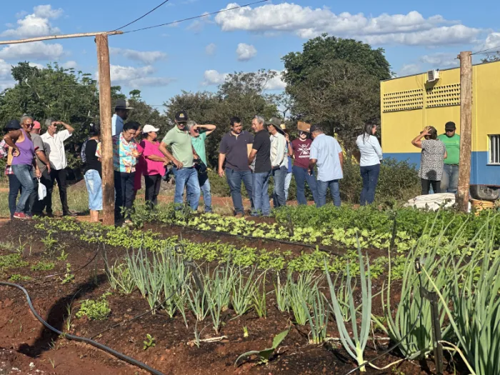 Produtores rurais de Paraíso das Águas visitam Cinturão Verde em Costa Rica em...