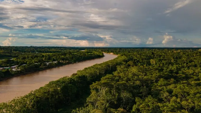 MapBiomas aponta Acre entre os três estados que mais reduziram o desmatamento em 2023