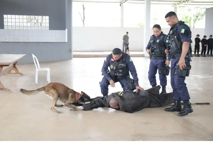 GMM: Grupamento de Operações com Cães de Marabá ministra curso no Maranhão